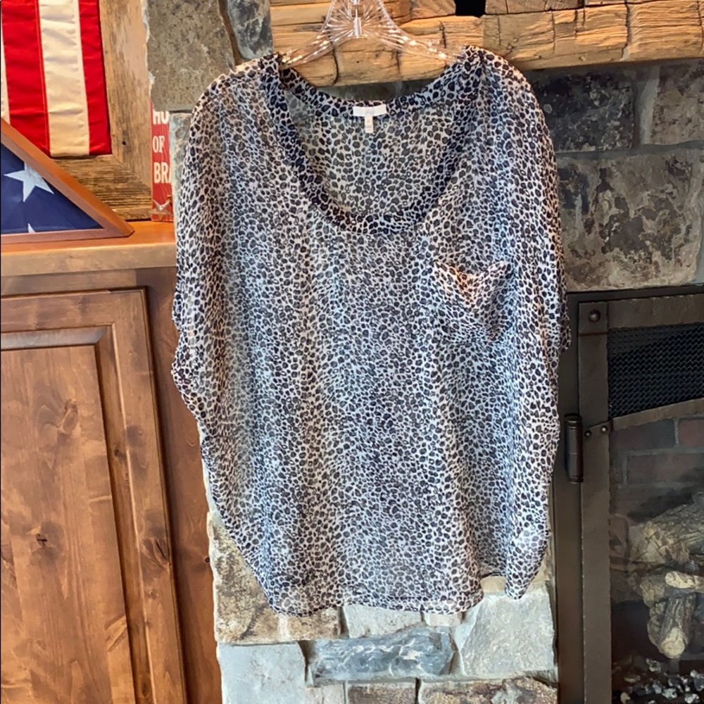 Joie sheer tunic
